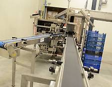 XZ sorting machine Sorting line for whortleberry